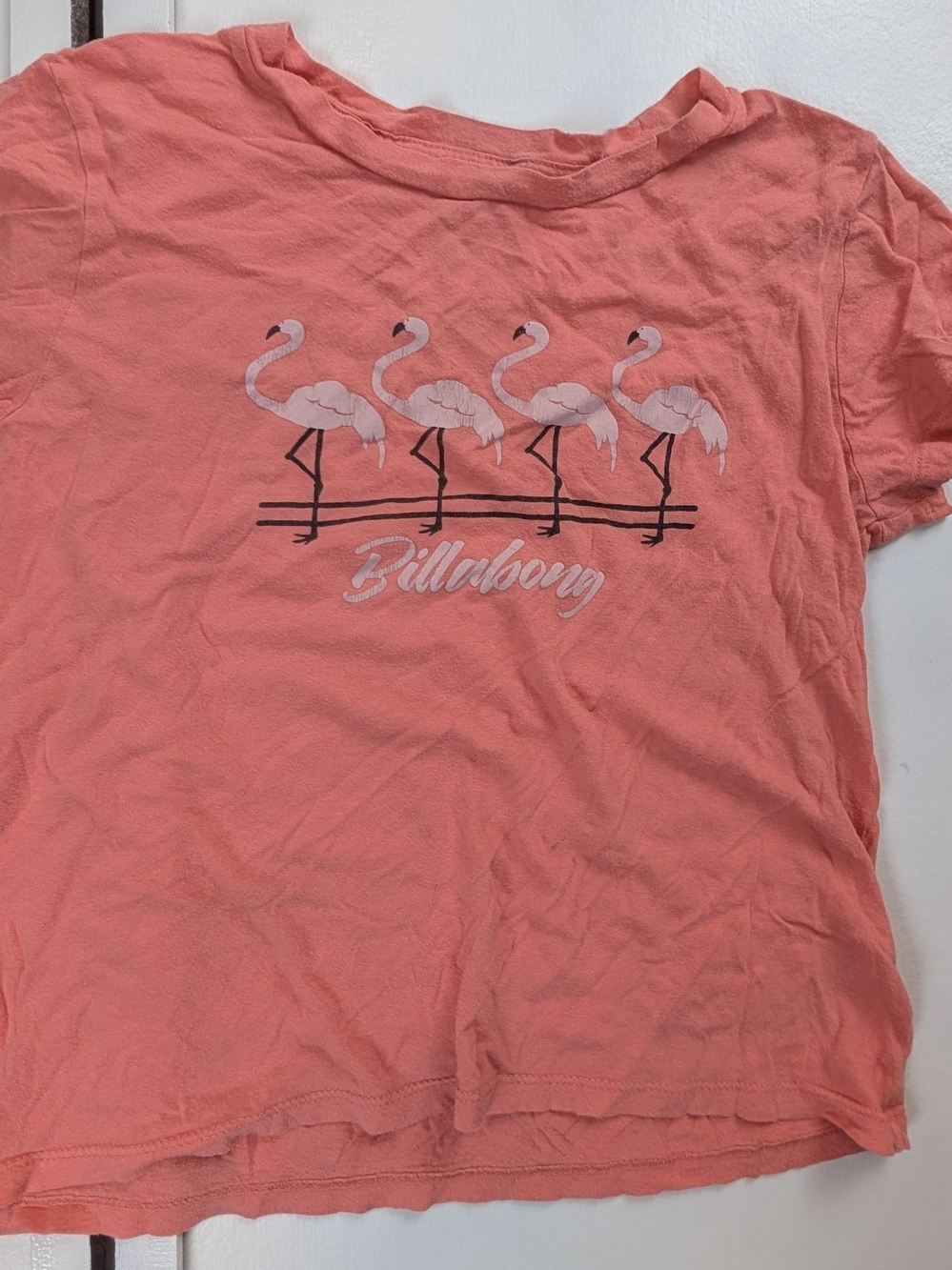 Billabong Coral Short Sleeve Tee with Flamingo Row